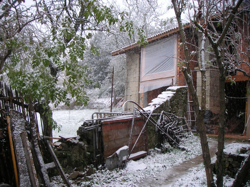 Frente nevado