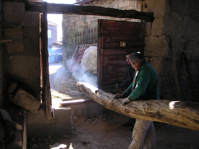 Sacando troncos