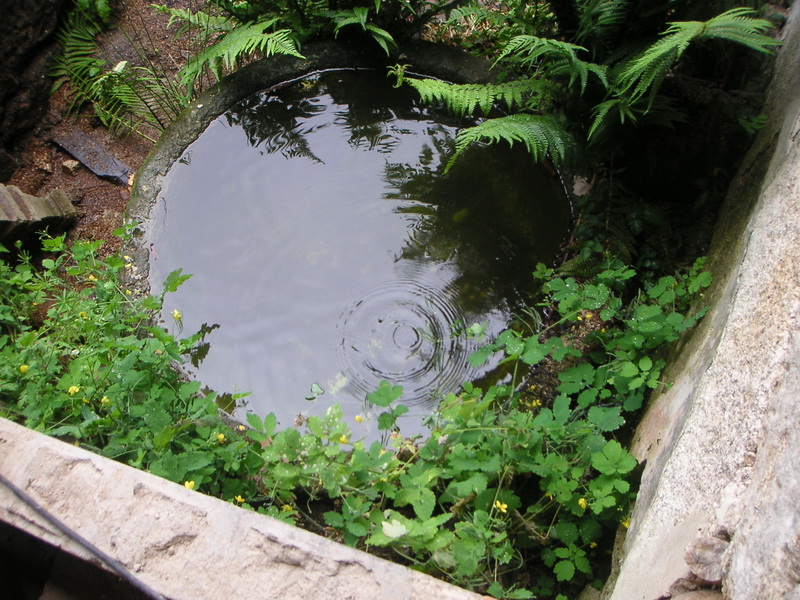 Agua en pozo