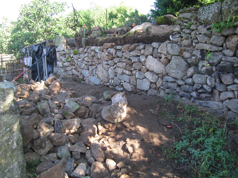 El muro caído bajo la camelia, aquí a medio hacer.