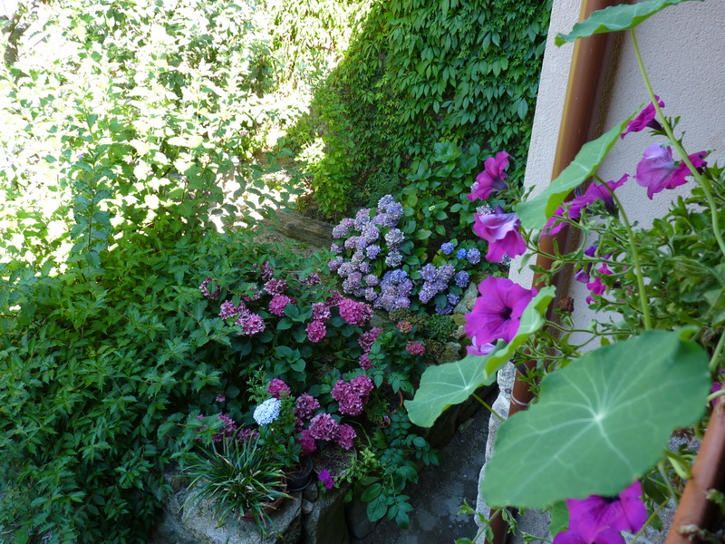 o este del patio.