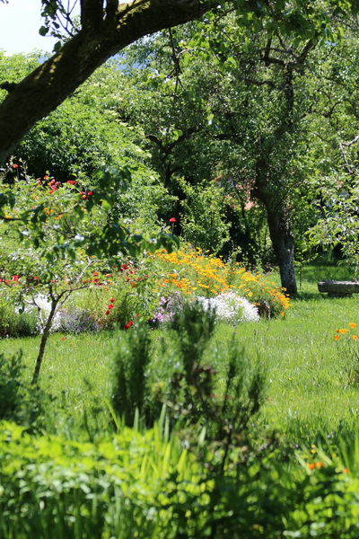 Flores en el jardín