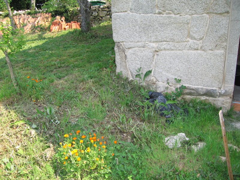 No era realmente urgente, pero a veces un proyecto también tiene que ser divertido: este rincón llevaba tiempo pidiendo una mejora, un atajo natural a lo largo de la esquina, siempre intransitable. Así era antes