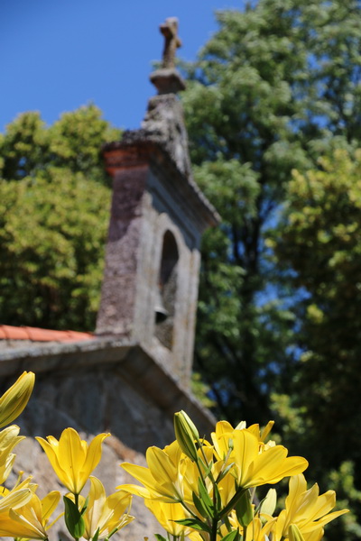 Flor e Iglesia