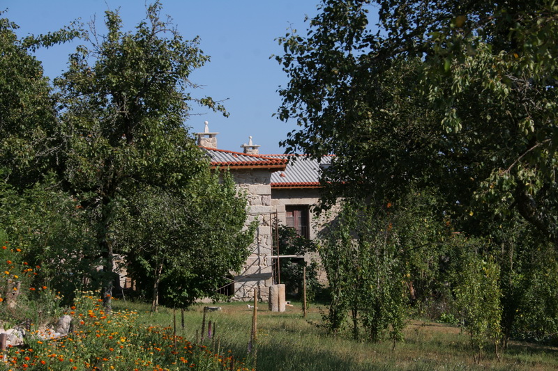 Entorno