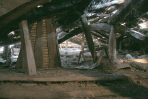 PAZO en 2007