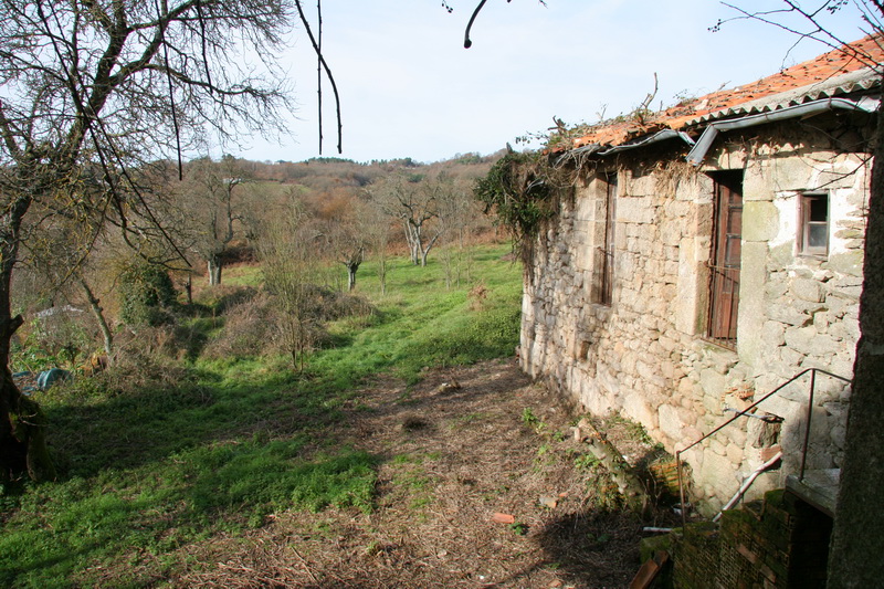 Entorno