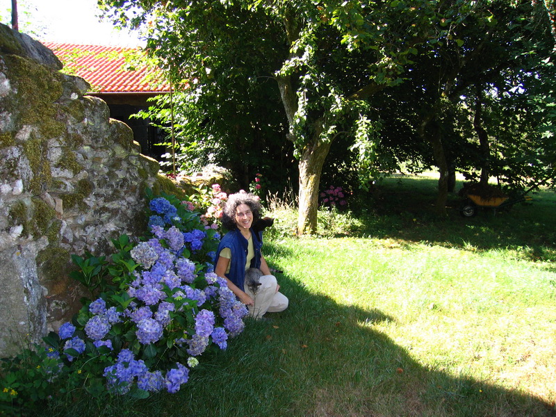 Rosa con gatos y hortensias: