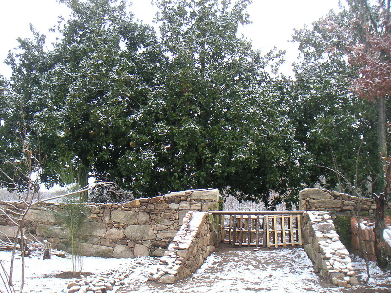 Nieve en el muro