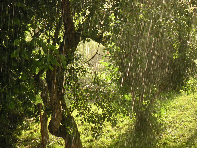 Luz y lluvia
