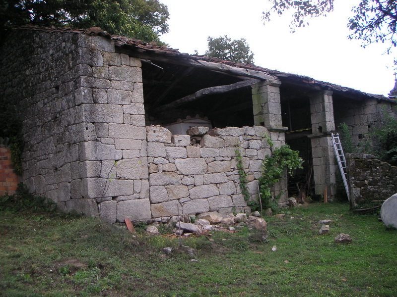 Pared