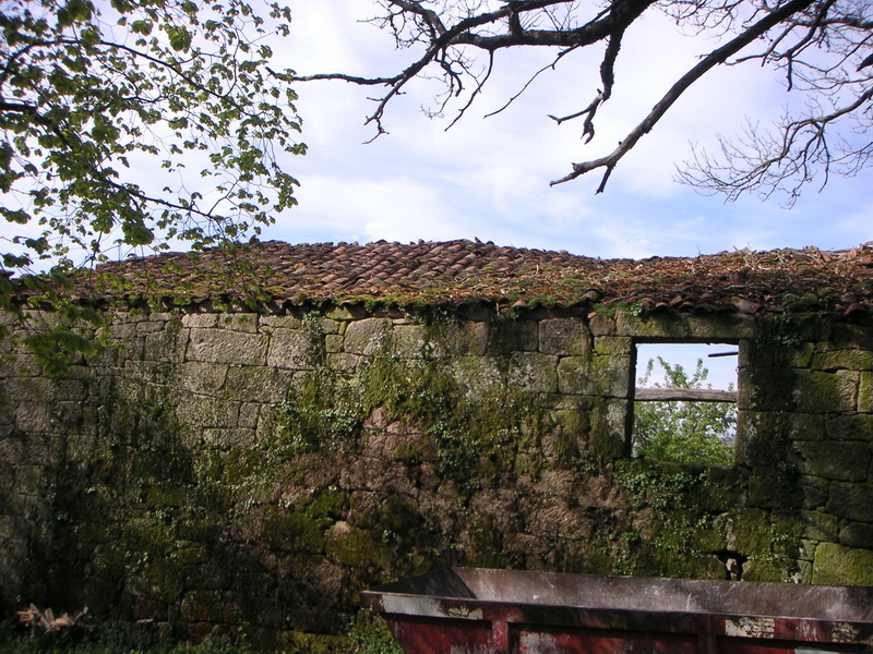 Estructura con plantas
