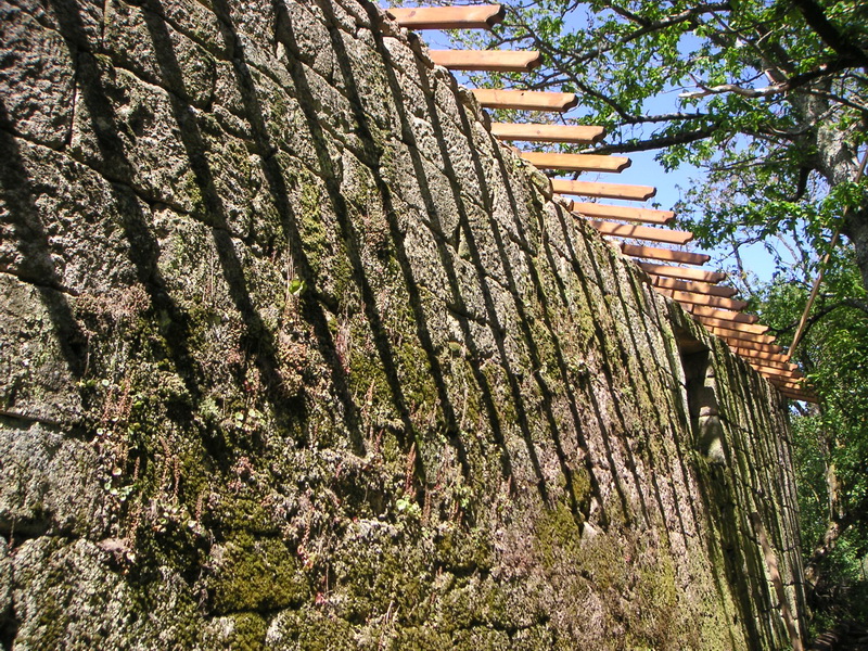 Pared