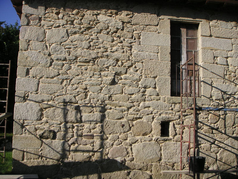 Pared