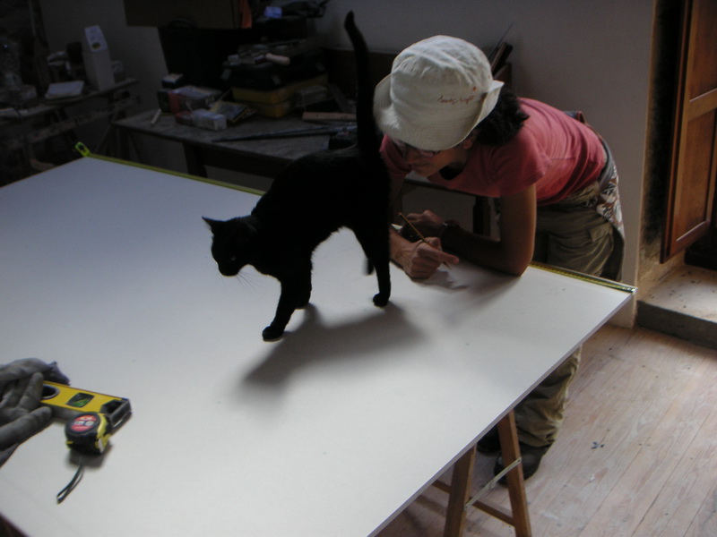 Gato en obra