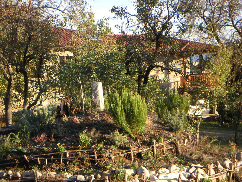 Arbustos