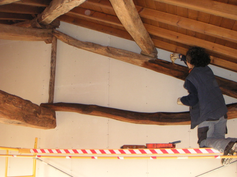 Rosa pintando